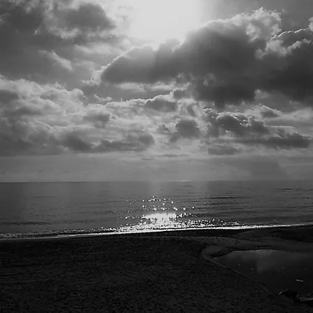 Dunes 3h Con Preciosa Vista Frontal Al Mar 317 Pals